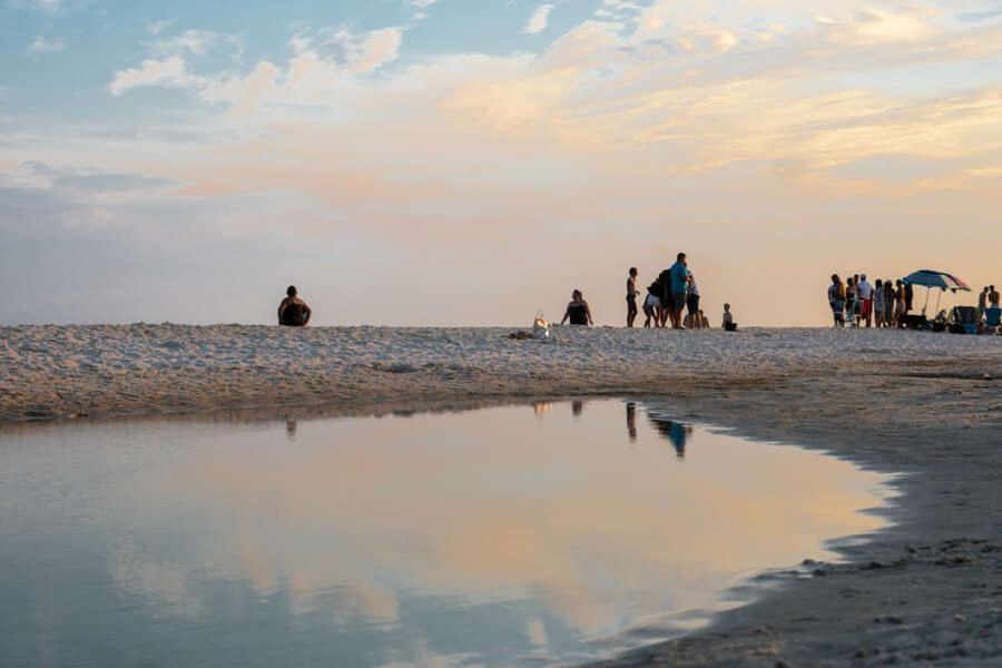 Budget Friendly Condo Within Walking Distance To The Beach! Gulf Shores Buitenkant foto