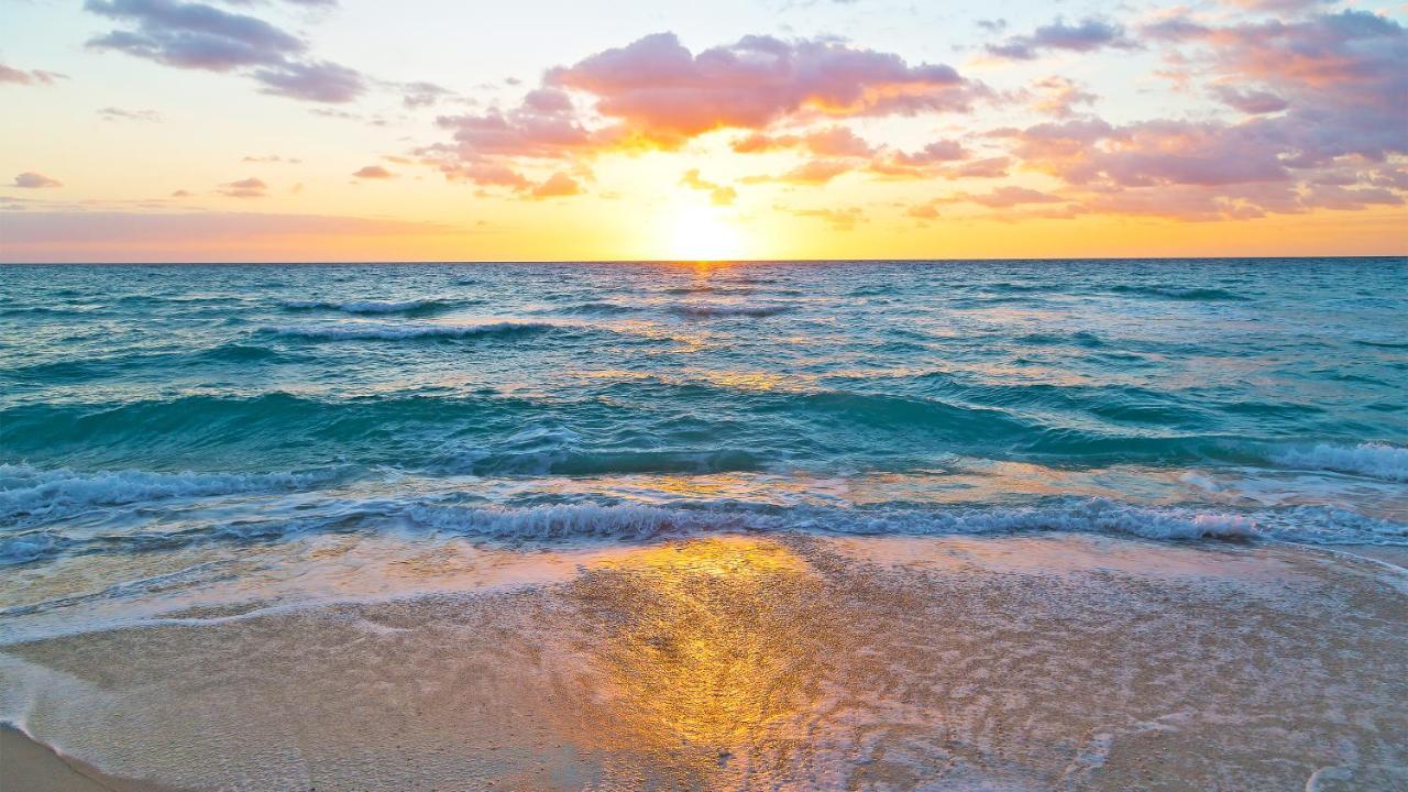Budget Friendly Condo Within Walking Distance To The Beach! Gulf Shores Buitenkant foto
